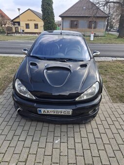 Peugeot 206cc - 9