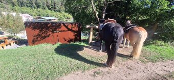 Ustajnenie  24/7 - 9