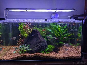Akvárium 54L Set - 9