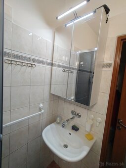 Veľký jednoizbový byt rezervované - 9