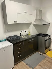 APARTMAN NA KRATKY POBYT V KE - 9