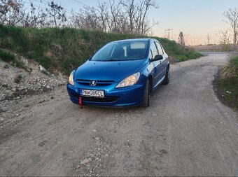 Peugeot 307 1.4 po STK - 9