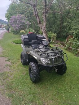 Arctic cat - 9