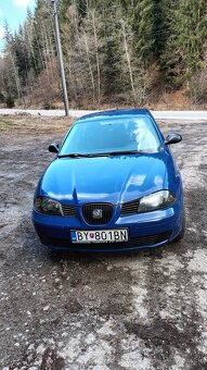 Seat ibiza 1.4 - 9