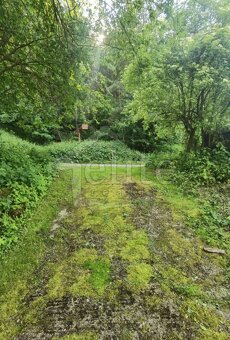 Predaj, Pozemok/Záhrada (RE01021308) - 9