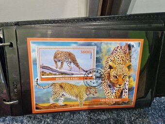 Zberatelsky Album s Arsikmi - 9