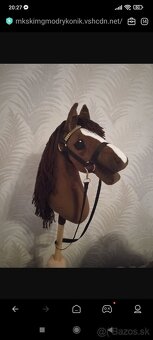 Hobby horse - 9