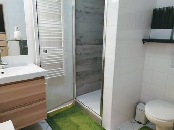 Jednoizbový klimatizovaný byt s parkovaním v garáži - 9