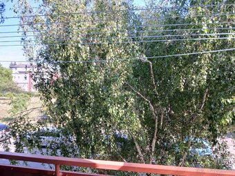 Na predaj 3-izbový byt – ulica M. R. Štefánika, Levice - 9