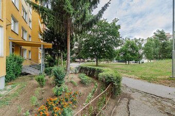1-izbový, predaj, 28 m2, Michalovská, Košice - Západ - 9