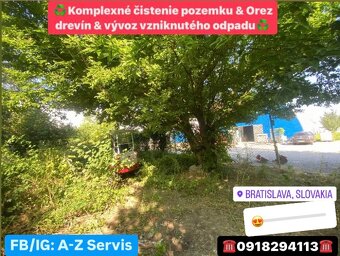 Čistenie pozemkov od náletovych drevín/Mulčovanie/Pílenie - 9
