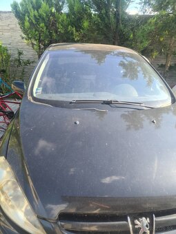 Peugeot 307 - 9