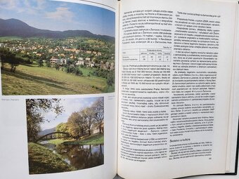 Ján Gašparík, Ladislav Osvald - Dejiny Žarnovice - 9