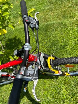 FRM   exclusive italiano mtb rare - 9