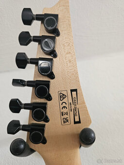 Ibanez GS 221 - 9