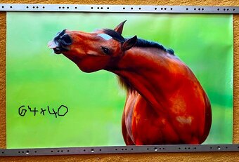 NHL kartičky, tapety koňov,... - 9