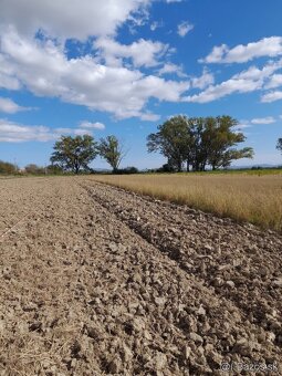 Rod Dom Mokrance - 9