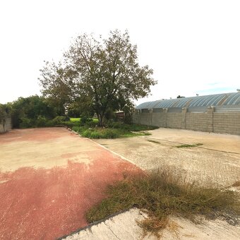 Na predaj priestranný pozemok s rodinným domom v Moste pri B - 9