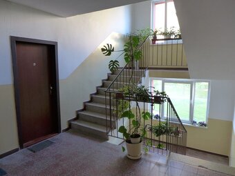 1izbák // Hurbanova 2, ŠAĽA - 9