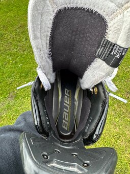 Korcule Bauer Supreme Shadow - 9