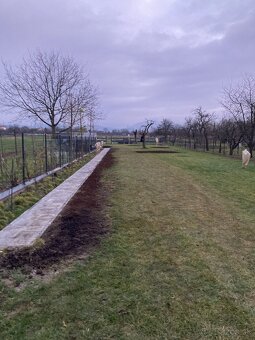 Zimné upratovanie záhrad a rez ovocných stromov - 9