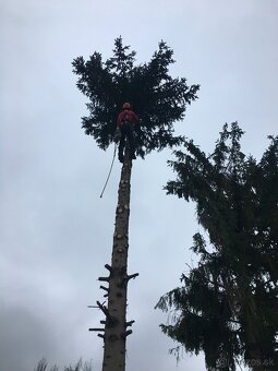 Rizikove pilenie stromov,kosenie a cistenie pozemkov - 9