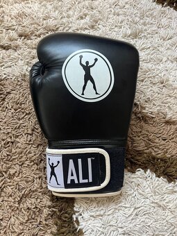 Boxerské rukavice ALI - 9