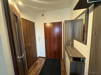 1 izový byt Ludmanská - 9