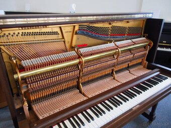 Steinway and Sons jedinečná ponuka - 9