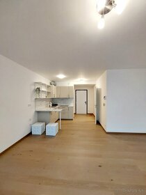 BEZ PROVÍZIE- 1 izbový byt s parkovacím státím pri OC NIVY - 9