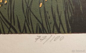 Edita Ambrušová - predám grafiky. - 9