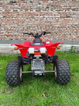 Honda TRX 400 - 9