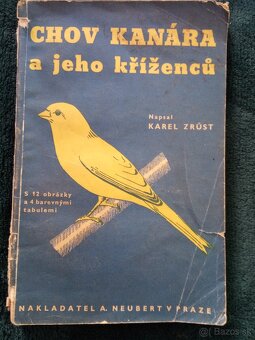 Predám knihy o kanárikoch - 9