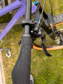 Jeronimo Txabardo / 29er / CrMo / Custom Hardtail - 9