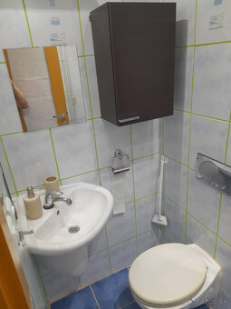 Prenajmem zariadenú garzónku na sídlisku Medvedzie - 9