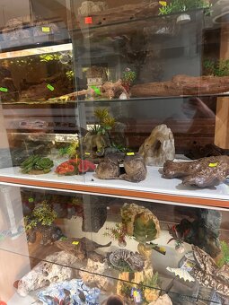 Rozpredam aquaristiku - 9