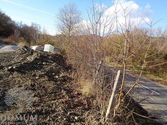 Slnečný a priestranný rekreačný pozemok v Moravskom Lieskovo - 9