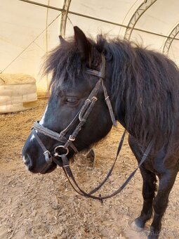Pony Valach - 9