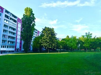 Predaj 4-izbového bytu s loggiou – Pôvodný stav – Podunajské - 9