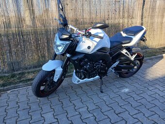 Yamaha FZ1 - 9