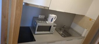 DLHODOBÝ PRENÁJOM / GARSÓNKA / SENICA / - 9