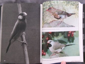 Veľký obrazový atlas vtákov - Jan Hanzák. - 9