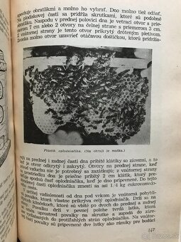 Koloman Novacký: Včelárstvo (1955) - 9