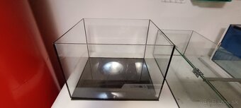 Darujem akwarium - 9