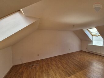 Predaj 10-izbový rodinný dom Hrušovany, okr. Topoľčany - 9