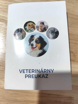 Predám Šteniatko Čistokrvneho Maltezaka - 9