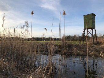Veľký Pozemok 45 172 m² pri Malých Levároch - 9