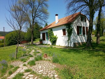 🏡 VIDIECKA CHALUPA v Krajnom s rozsiahlym pozemkom - 9