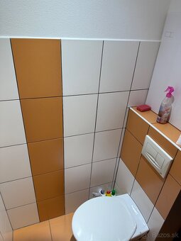 Velky 3 izbovy byt prenajom - 9