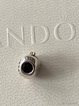 Pandora bicolor srdiečko - 9